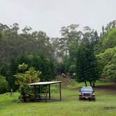 Review photo of Peacock Flats - Mokuleia Forest Reserve by Laura H., May 21, 2021