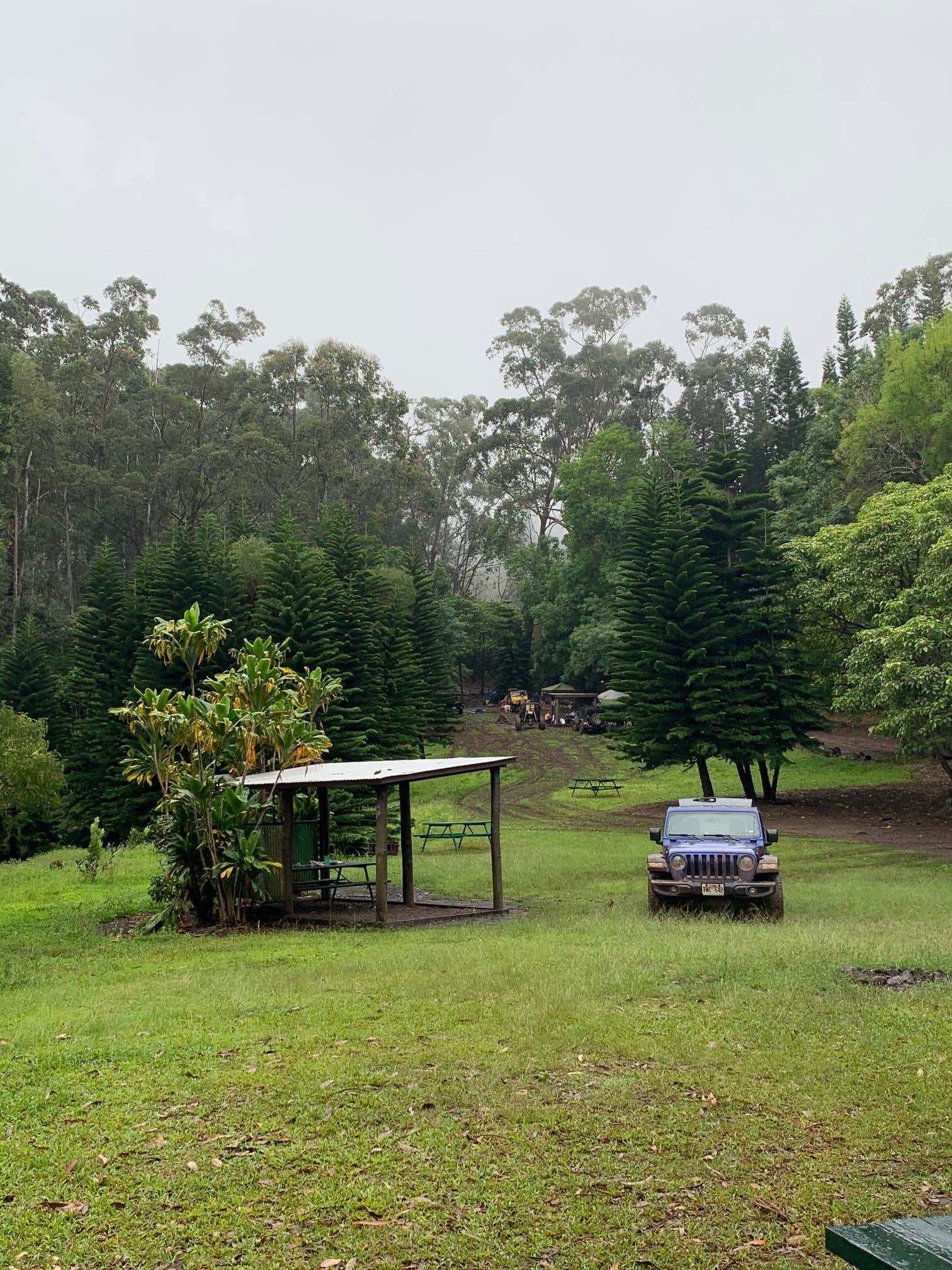 Camper submitted image from Peacock Flats - Mokuleia Forest Reserve - 4