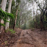 Review photo of Peacock Flats - Mokuleia Forest Reserve by Laura H., May 21, 2021