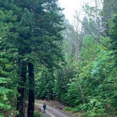 Review photo of Peacock Flats - Mokuleia Forest Reserve by Laura H., May 21, 2021