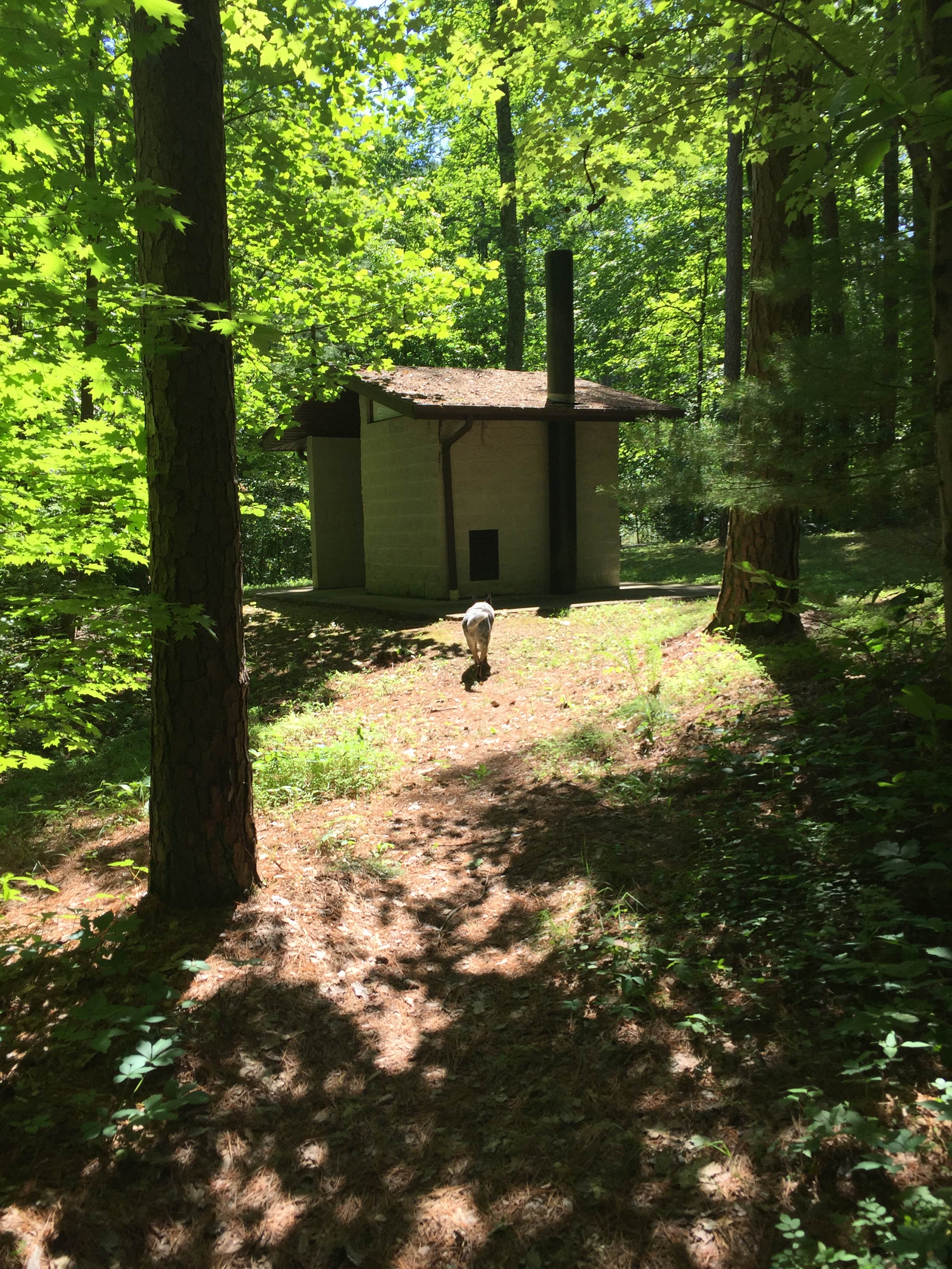 Camper-submitted photo at Hoosier National Forest North Face Loop Campground near Union Star, KY