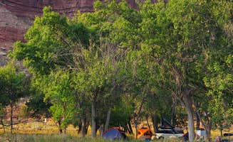 Cedric S.'s photo at Watchman Campground — Zion National Park near Zion National Park
