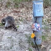 Review photo of Ash Grove Campground — Indian Cave State Park by Judy B., May 21, 2021