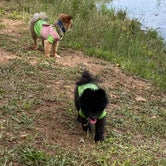 Review photo of Four Paws Kingdom Campground & Dog Retreat by Laura B., May 21, 2021