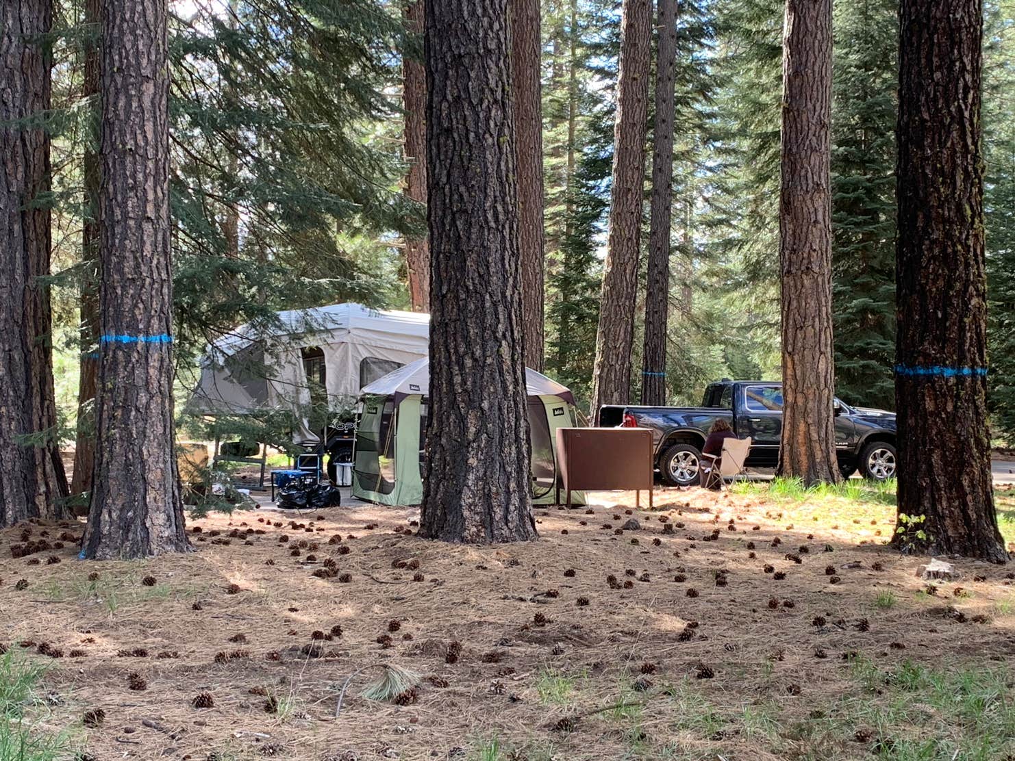 Cattle Camp Campground | The Dyrt