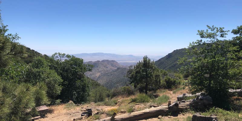 Camper submitted image from Burnt Ranch Campground