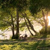 Review photo of Deschutes River State Recreation Area by Emma A., May 21, 2021