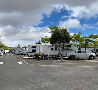 Camper-submitted photo from Shamrock RV Park