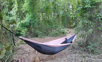 Ian H.'s photo of camping with pets at Wisteria Beach Hideaway near Newport News, VA