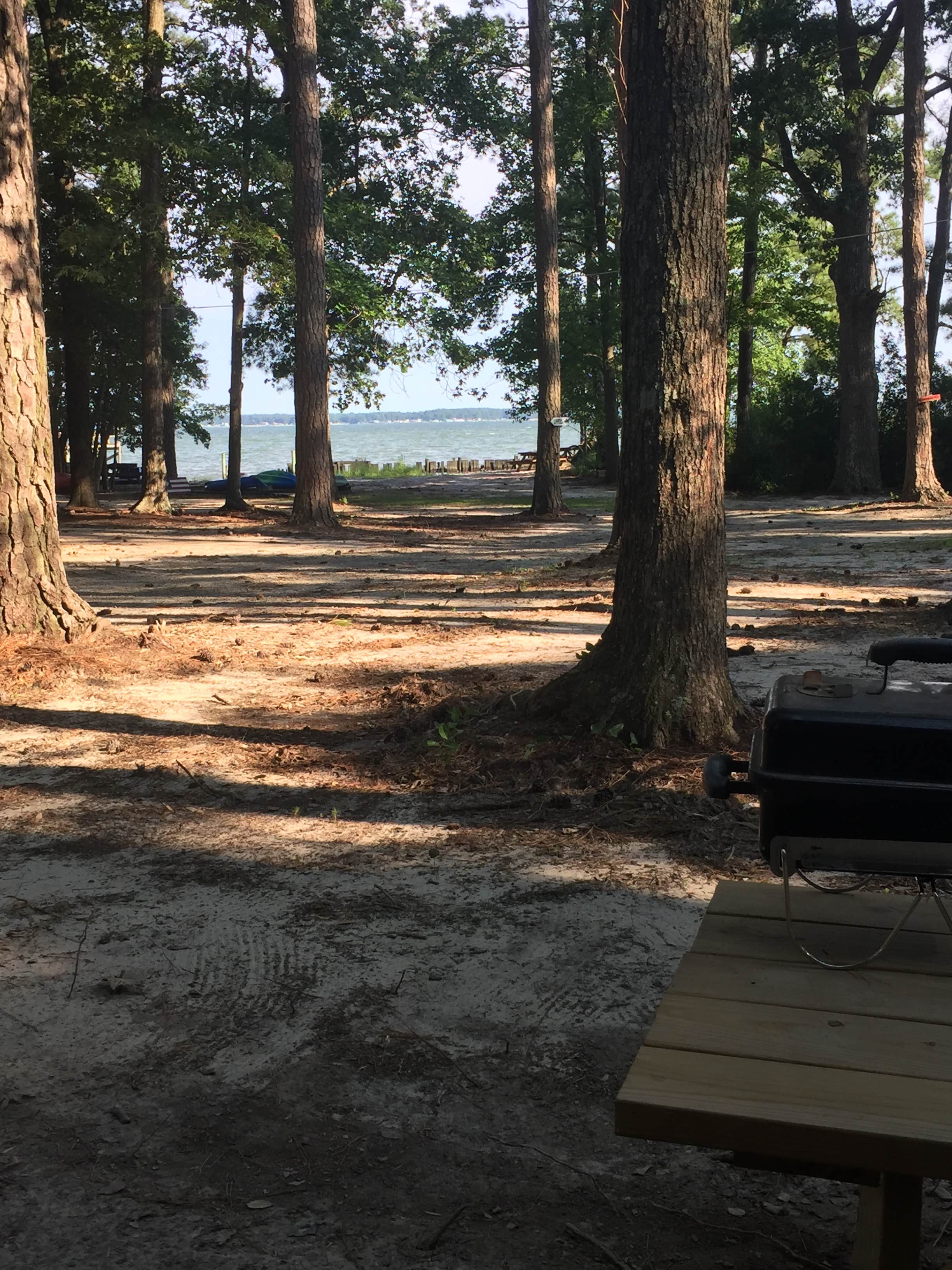 Camper-submitted photo at Cross Rip Camp near Mascot, VA