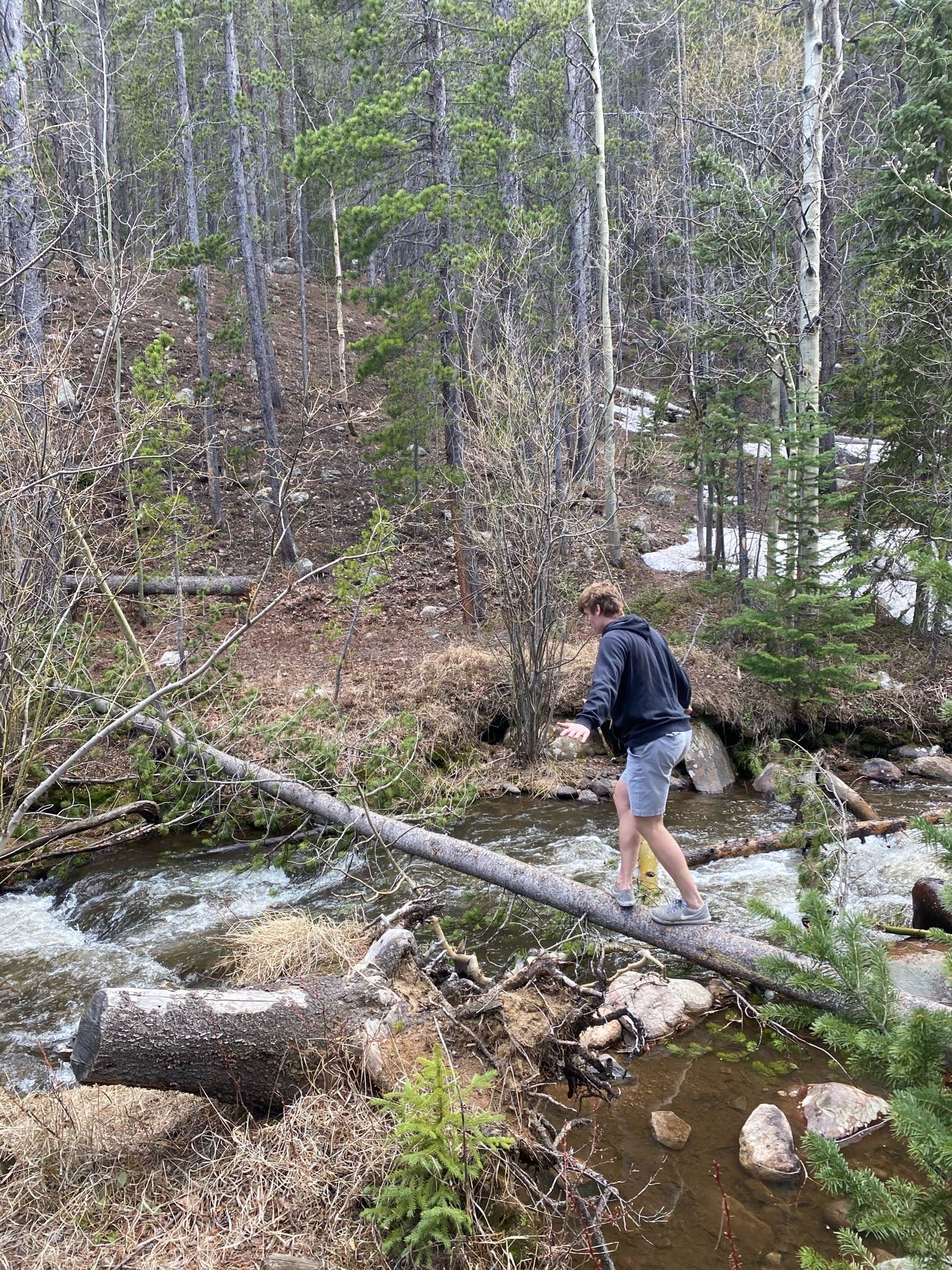 Camper submitted image from Fall River Campground - 5