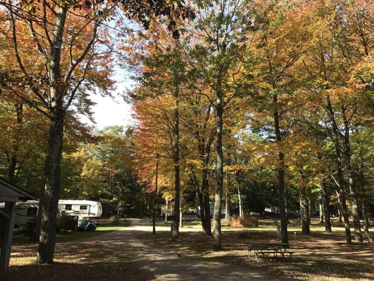 Camper submitted image from Whispering Surf Campground at Bass Lake - 5