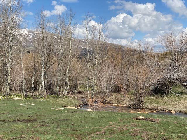 Camper-submitted photo at Flat Canyon Dispersed Campground - Sawtooth National Forest near Rockland, ID