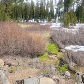 Review photo of Angel Creek Campground by Florian J., May 21, 2021
