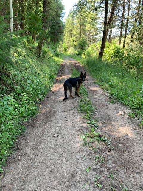 Camper submitted image from Twin Creek Campground Group Camping Site - 5