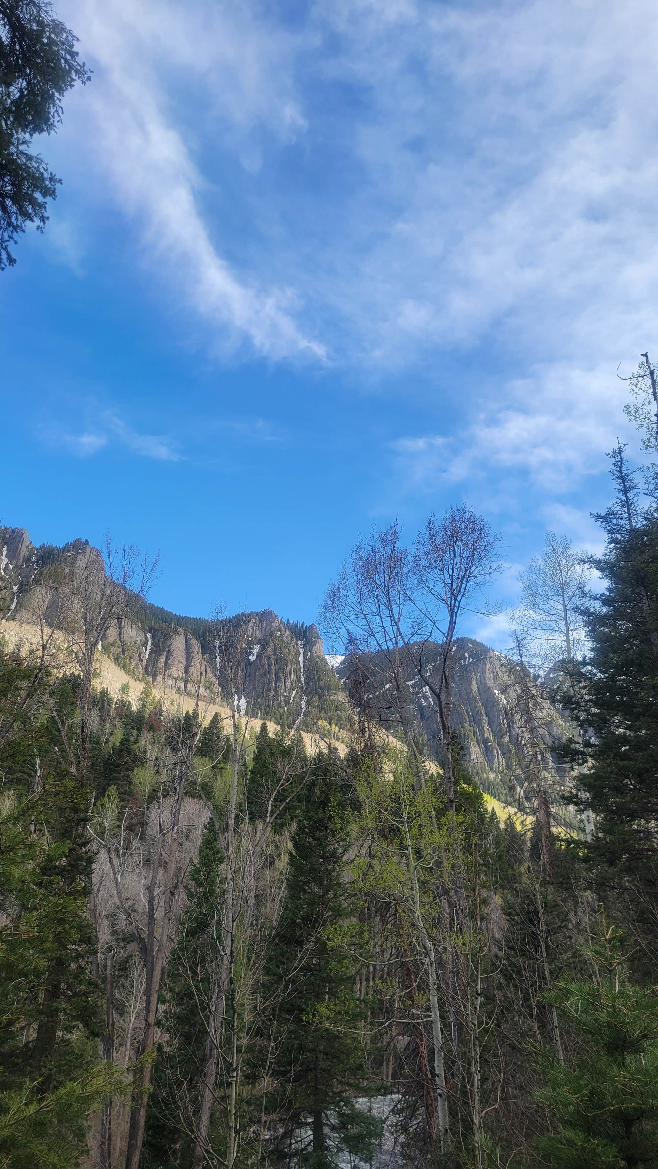 Camper submitted image from Uncompahgre National Forest Thistledown Campground - 2