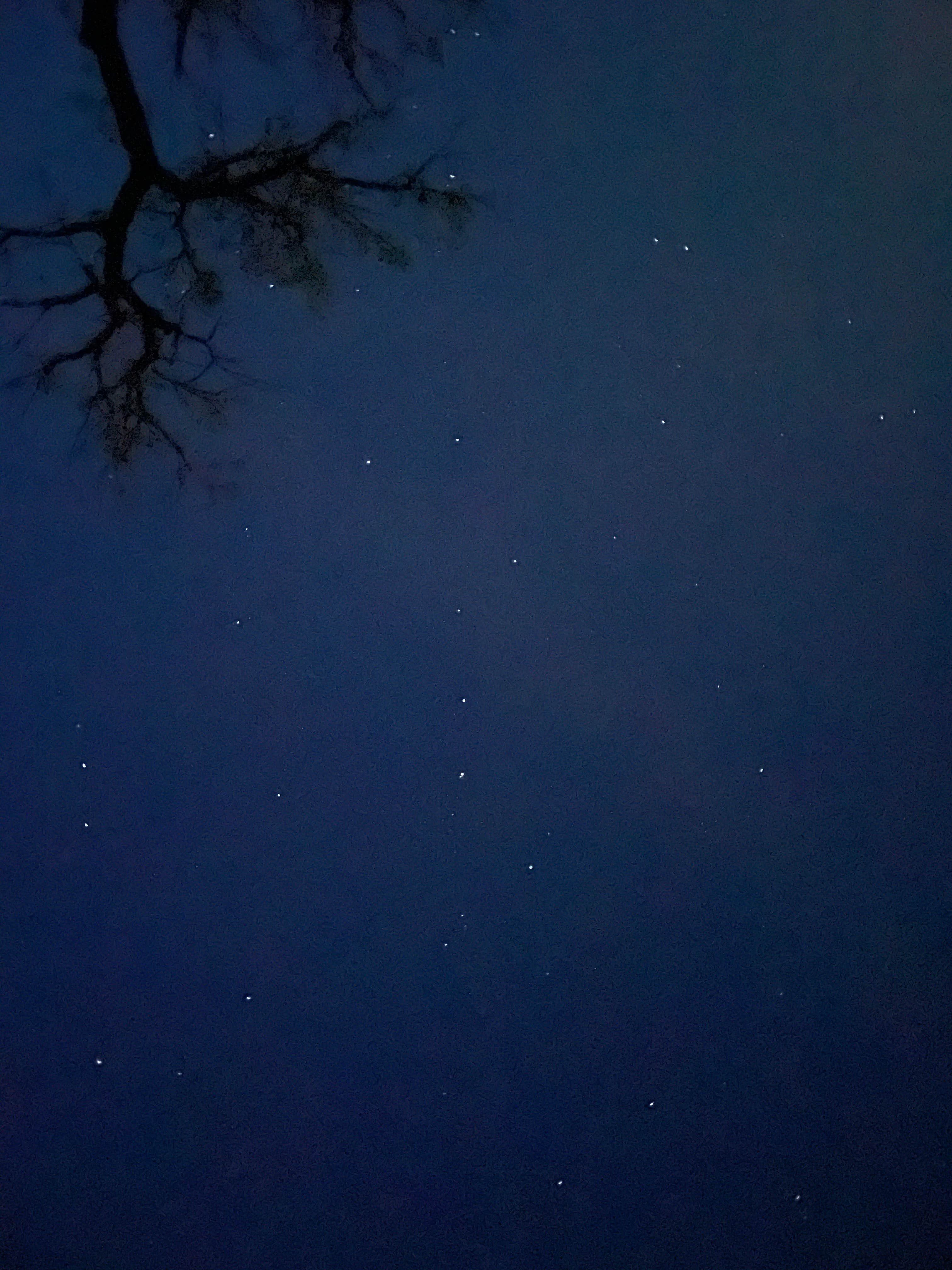 Camping near Holiday Spring Campground: Primitive Camping - Twelve Mile Dam Fishing Access Site - Montana, Miles City, Montana