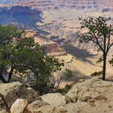 Review photo of Ten-X Campground — Grand Canyon National Park by Cedric S., May 21, 2021