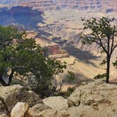 Review photo of Tusayan-Montane — Grand Canyon National Park by Cedric S., May 21, 2021