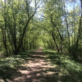 Review photo of Wild River State Park Campground by Kate H., June 4, 2018