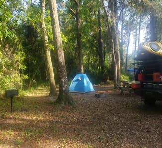 Camper-submitted photo from Newport Park Campground