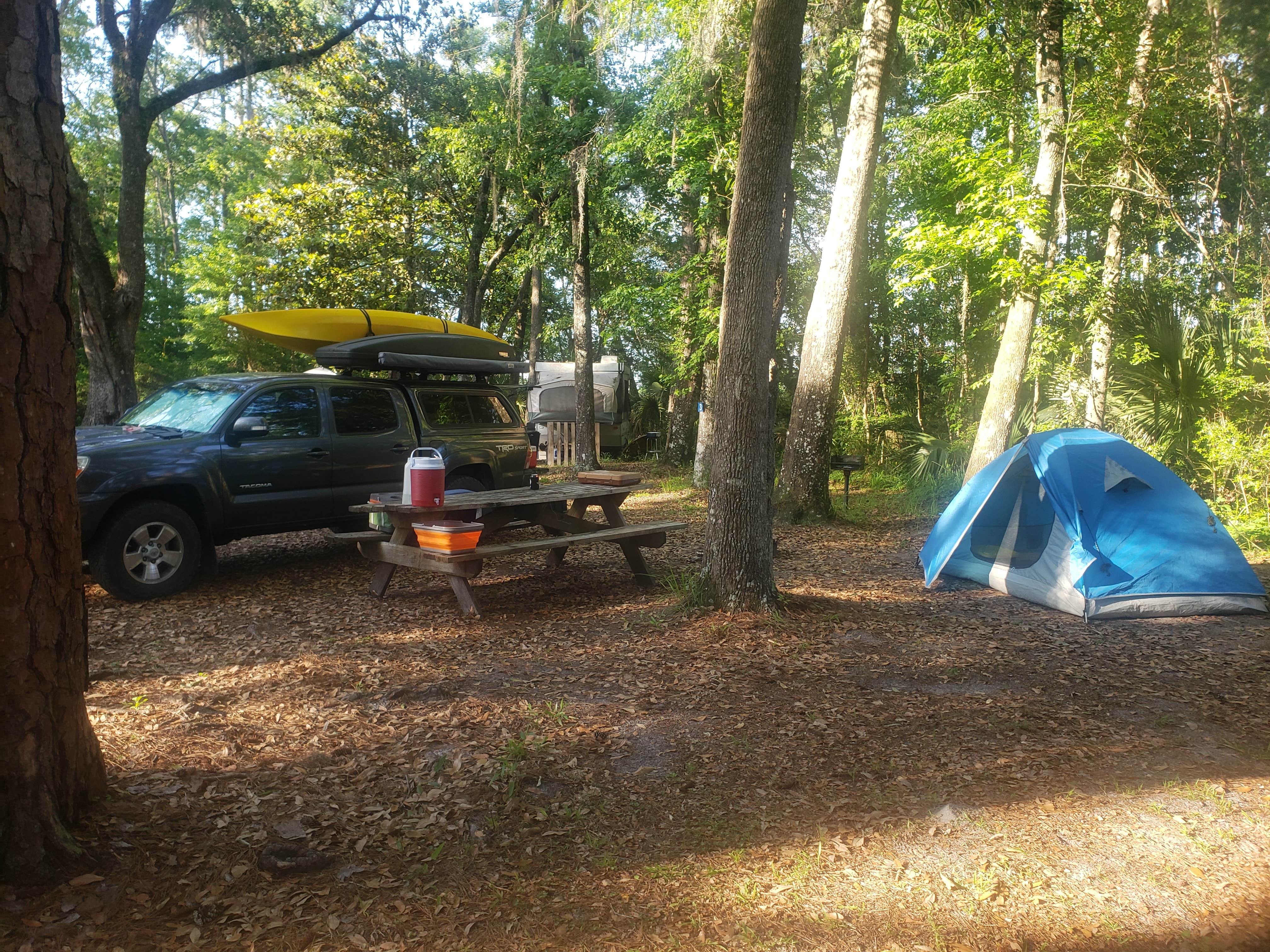 Camper submitted image from Newport Park Campground - 4