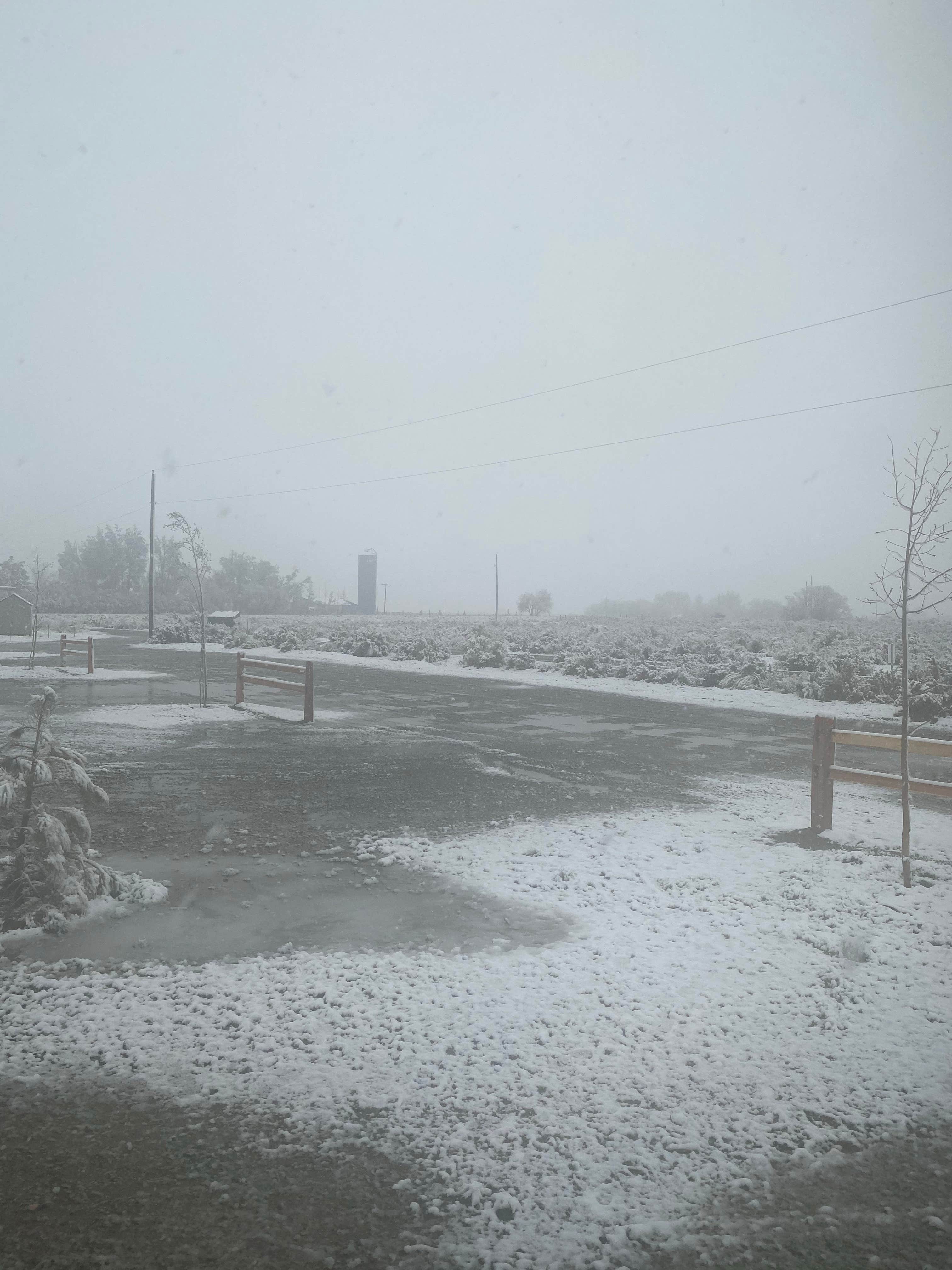 Camper-submitted photo at Base Camp Family Campground near La Jara, CO