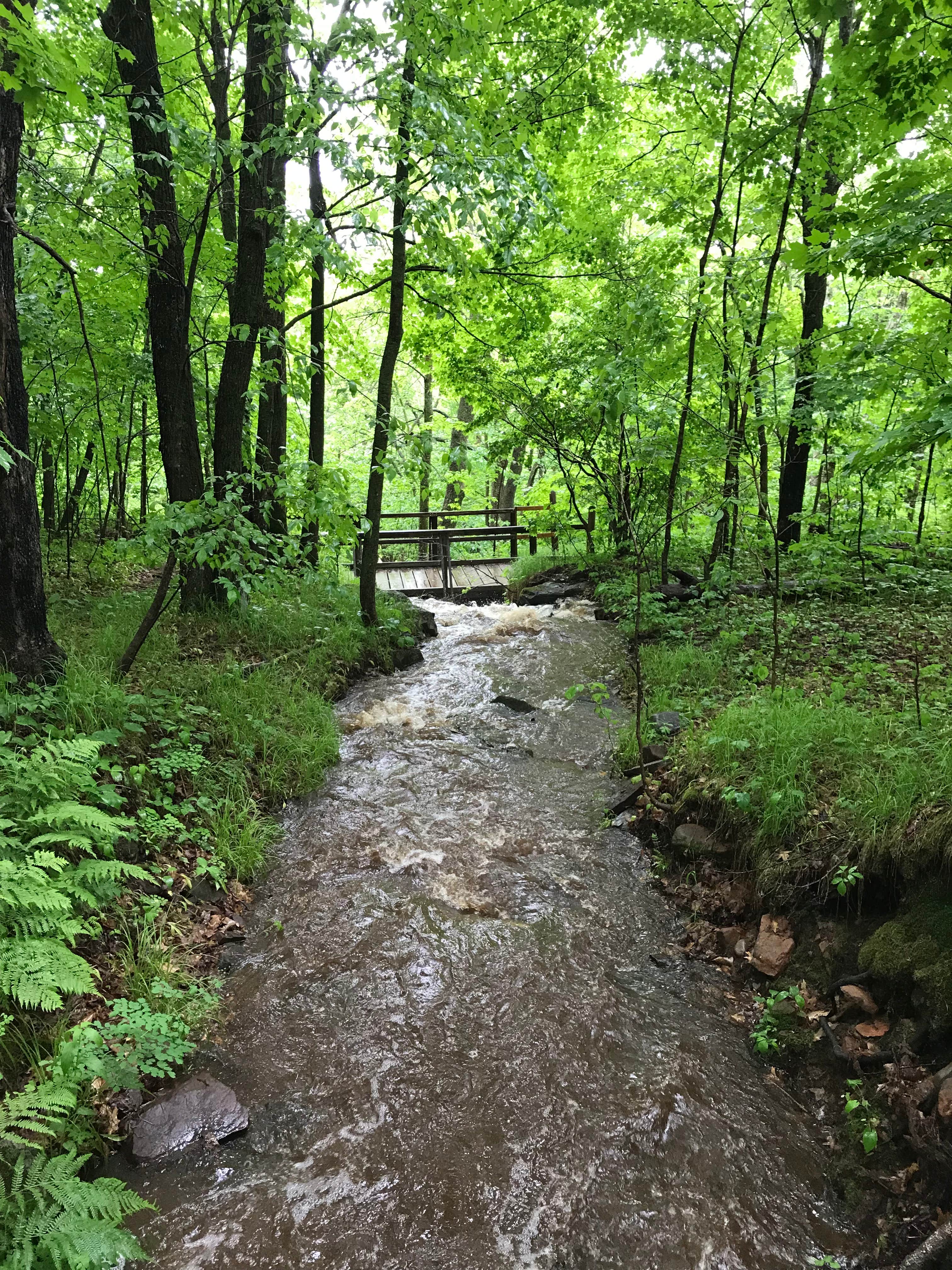 Camper-submitted photo at Banning State Park Campground near Saint Croix National Scenic River