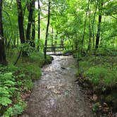 Review photo of Banning State Park Campground by Kate H., June 4, 2018