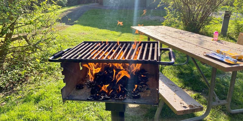 Camper submitted image from Webster Park