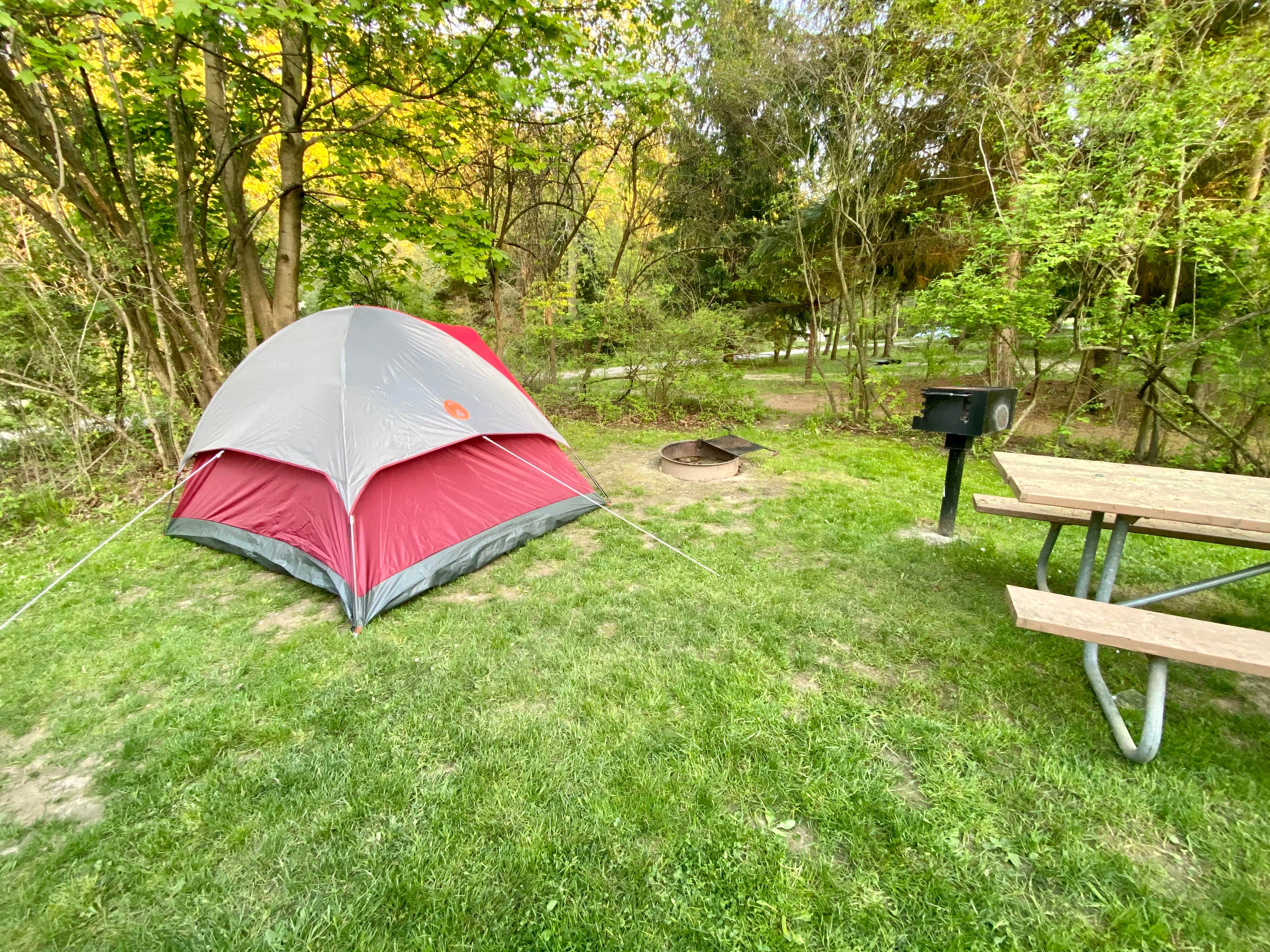 Camper-submitted photo at Webster Park near Adams Basin, NY