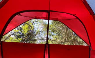 catherine's photo at Webster Park near Adams Basin, NY