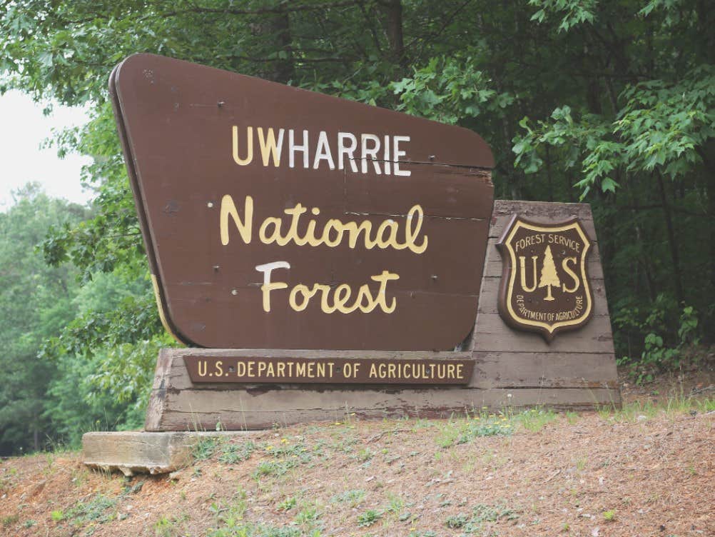 Uwharrie National Forest The Dyrt