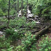 Review photo of Banning State Park Campground by Kate H., June 4, 2018