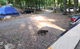 Joshua C.'s photo of camping with pets at Raccoon Mountain Caverns and Campground near Whiteside, TN
