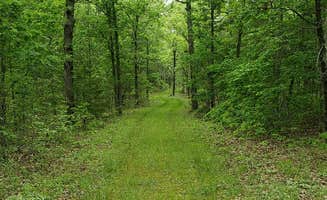 Robyn C.'s photo of camping with pets at Pheasant Acres RV Park in Missouri