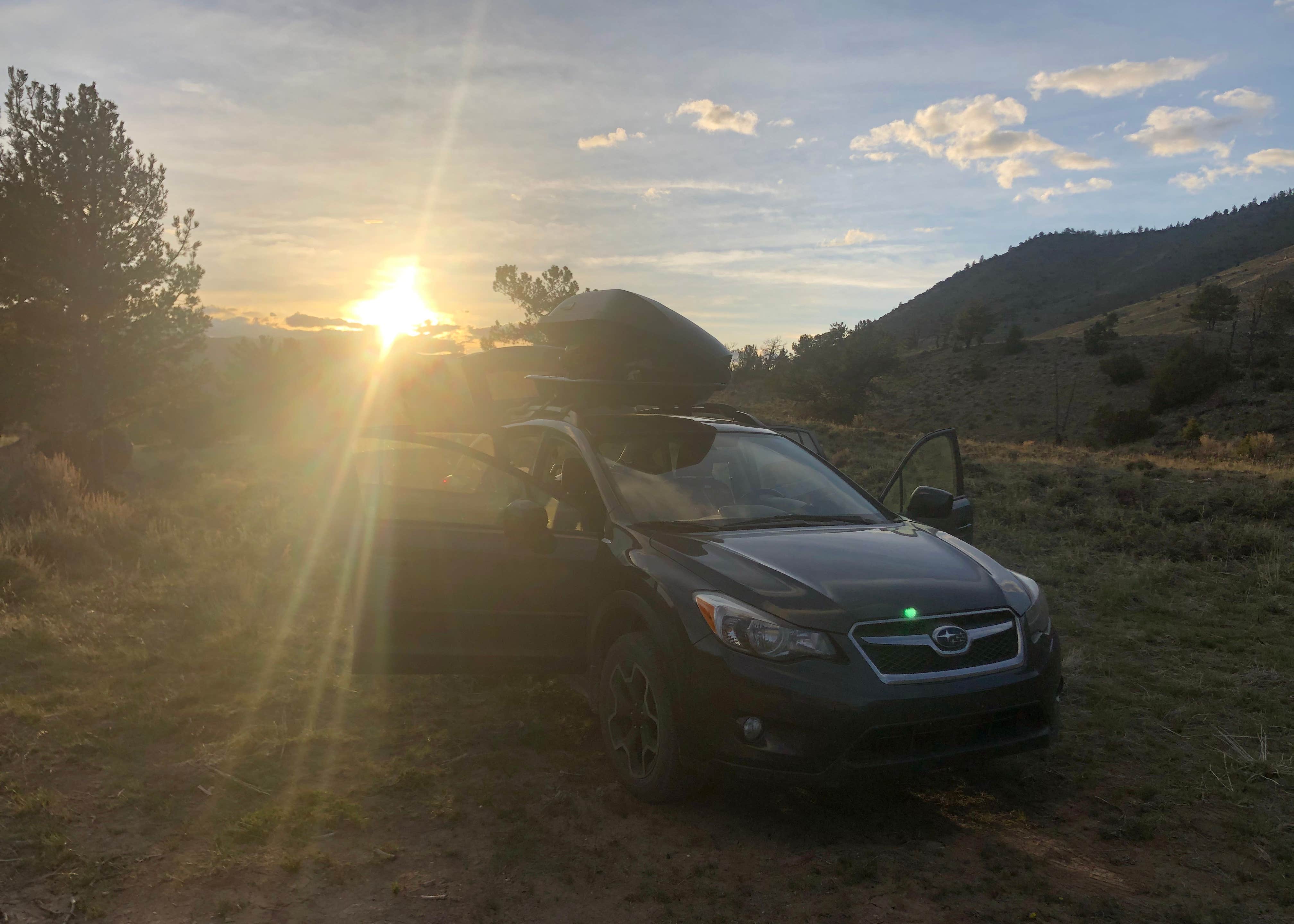 View All