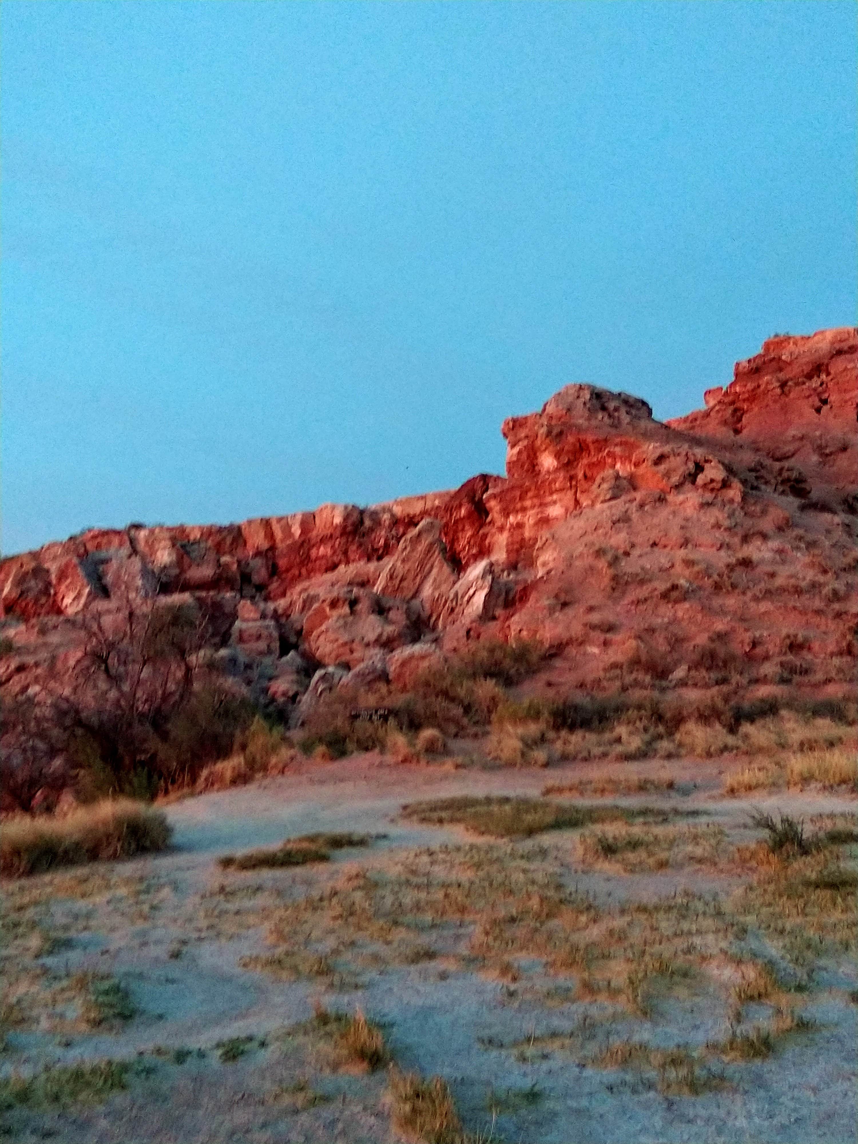 View All