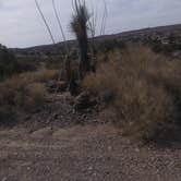 Review photo of Lower Ridge Road — Elephant Butte Lake State Park by RnP D., May 22, 2021