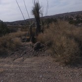 Review photo of Lower Ridge Road — Elephant Butte Lake State Park by RnP D., May 22, 2021
