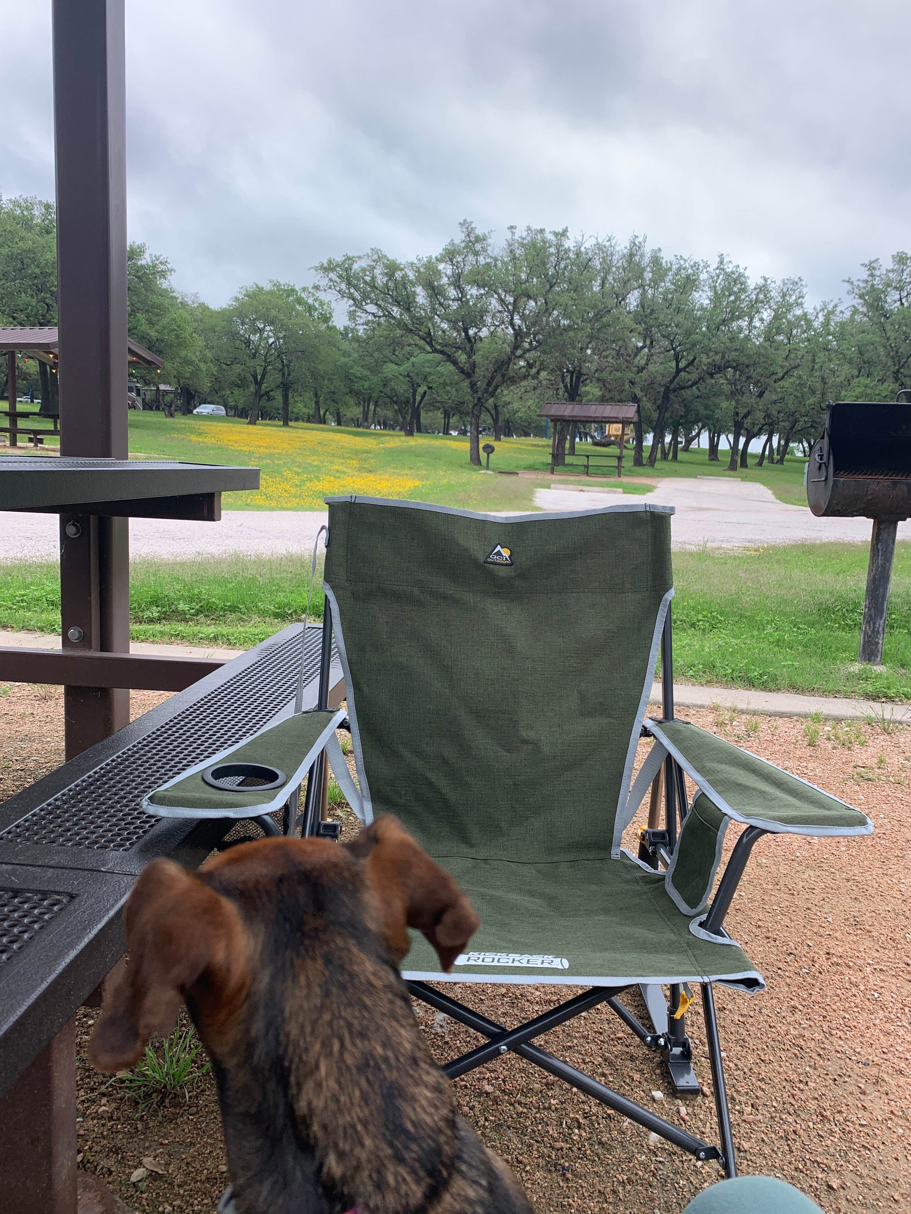 olivia's photo of camping with pets at Live Oak Ridge near Copperas Cove, TX