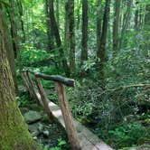 Review photo of Cosby Campground — Great Smoky Mountains National Park by Matthew D., May 22, 2021