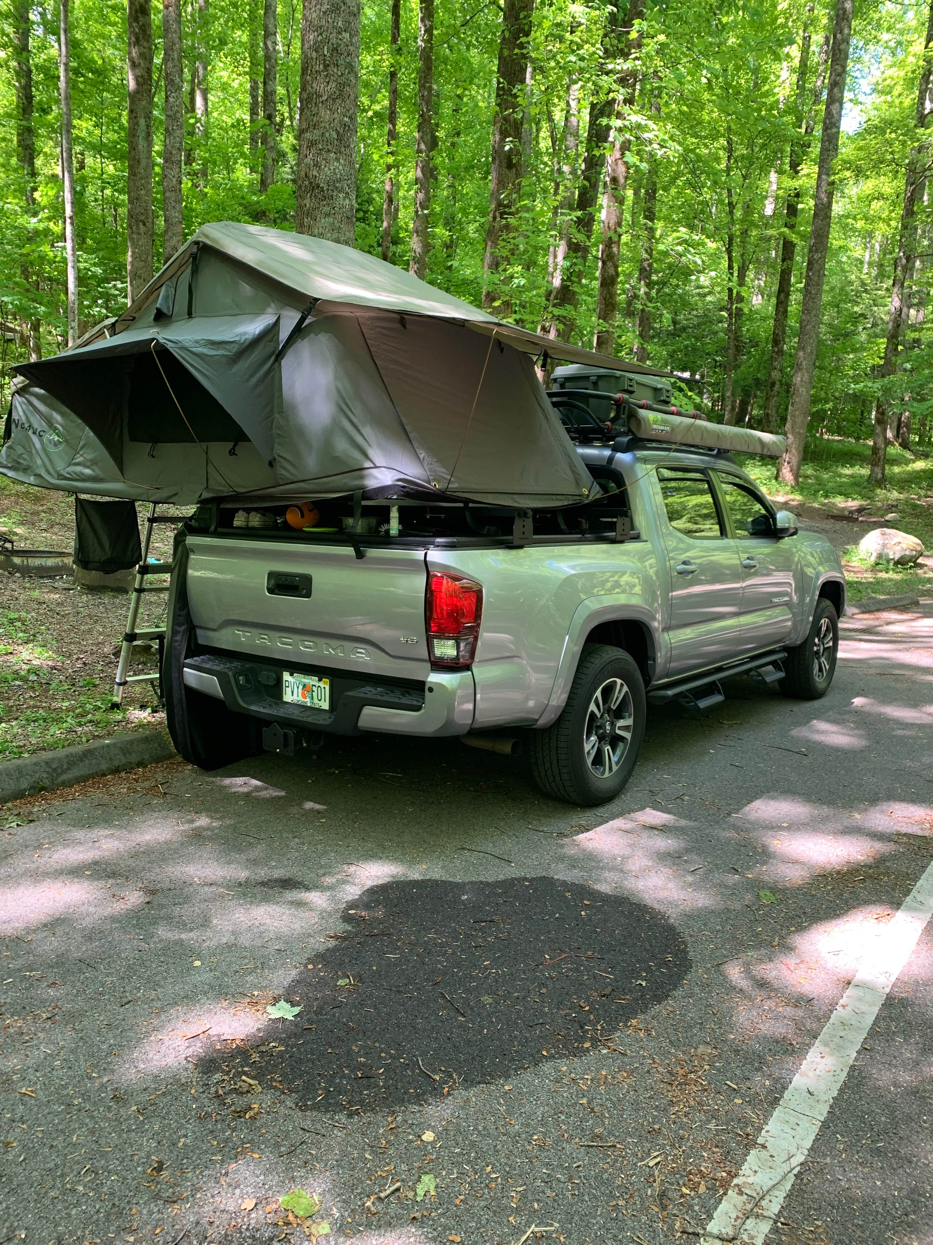 Matthew D.'s photo of tent camping at Cosby Campground — Great Smoky Mountains National Park near Gatlinburg, TN