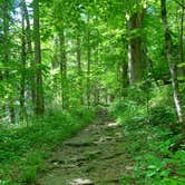 Review photo of Cosby Campground — Great Smoky Mountains National Park by Matthew D., May 22, 2021