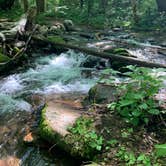 Review photo of Cosby Campground — Great Smoky Mountains National Park by Matthew D., May 22, 2021