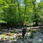 Review photo of Houck - Cunningham Falls State Park by Casey L., May 22, 2021