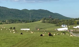 Camping near Wytheville KOA: Fort Chiswell RV Park, Max Meadows, Virginia