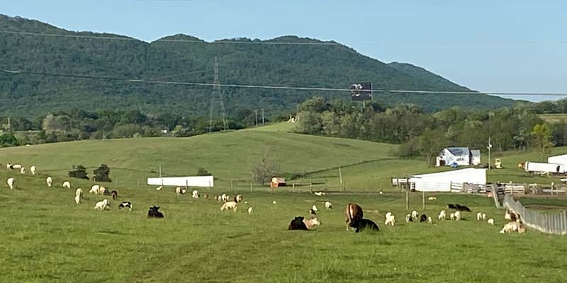 Camper submitted image from Fort Chiswell RV Park