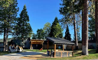 Phoebe B.'s photo of tent camping at LOGE Mt Shasta near Burney, CA