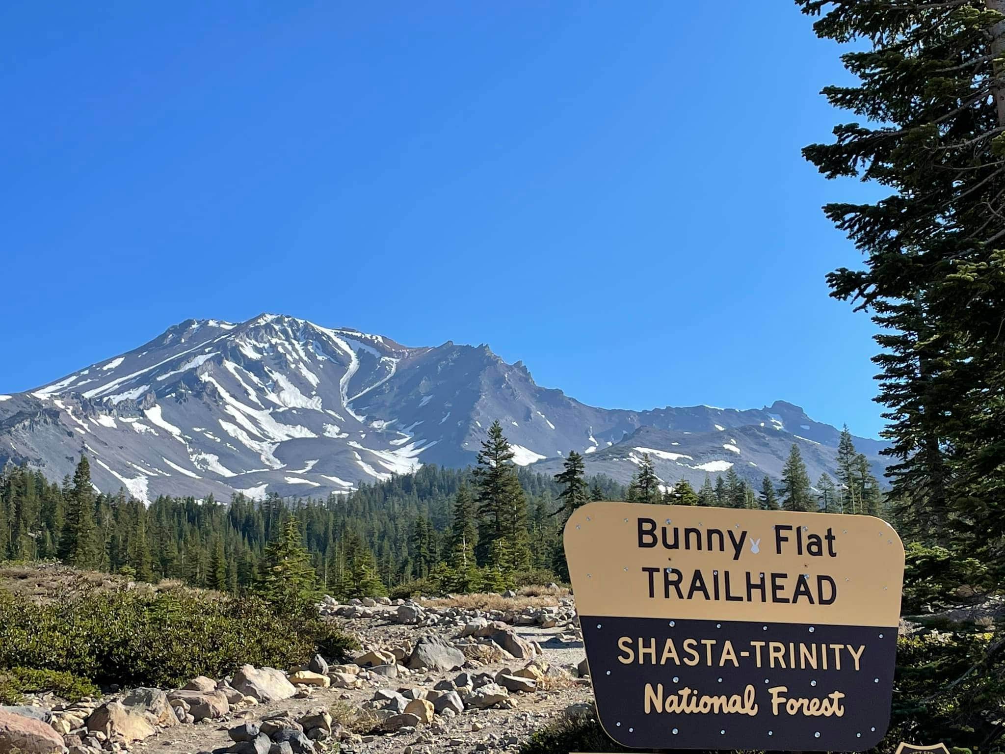 Camper submitted image from LOGE Mt Shasta - 5